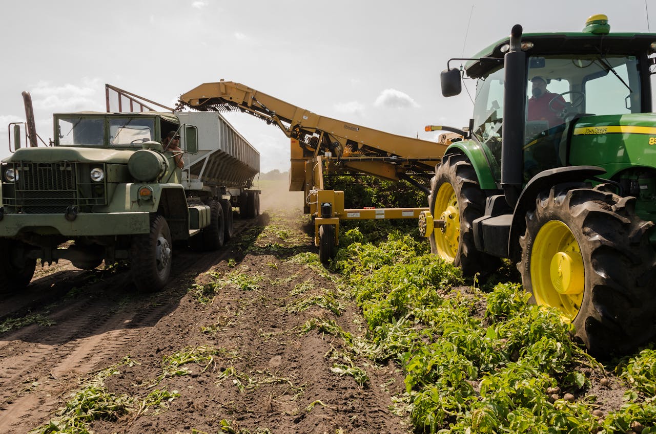 Agriculture sector